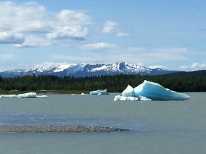 IMG_3081