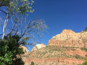 img_3670
