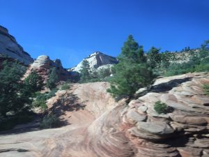 img_3712